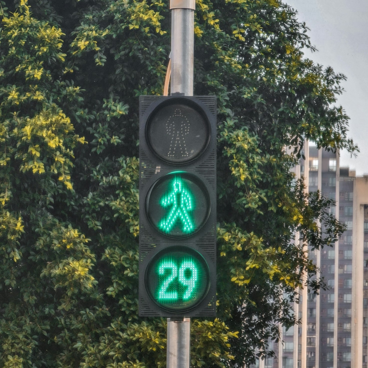 Creare Un Ambiente Urbano Più Sostenibile